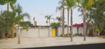 Eichler with Palm Springs style rock pool